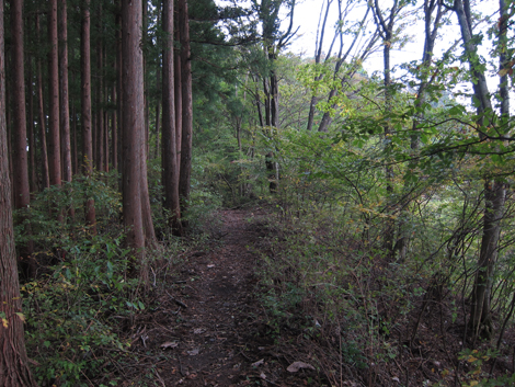 20191031hike (295)